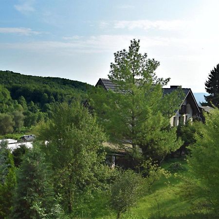 Lovely Holiday Home In The Thuringian Forest With Roof Terrace And Great View Bad Liebenstein Exteriér fotografie